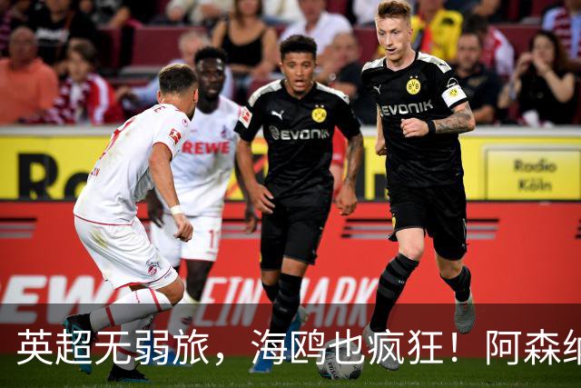 英超无弱旅，海鸥也疯狂！阿森纳3球惨败，拉亚成了远射背景板